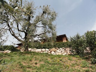 Appartamento per vacanze San Felice del Benaco Registrazione all'aperto 10