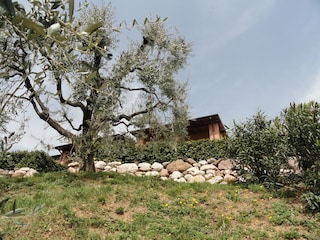 Ferienwohnung San Felice del Benaco Außenaufnahme 10