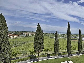 Vakantieappartement San Felice del Benaco Omgeving 34