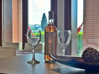 Vakantieappartement San Felice del Benaco Kenmerken 20