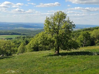 Natur pur
