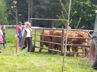Landleben