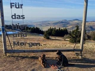 auf der Wasserkuppe
