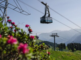 Fahrt über Alpenrosen