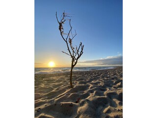 Casa per le vacanze Dranske Ambiente 32