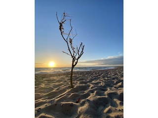 Maison de vacances Dranske Environnement 32