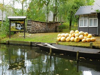 Ferienhaus Storkow/Mark Umgebung 12