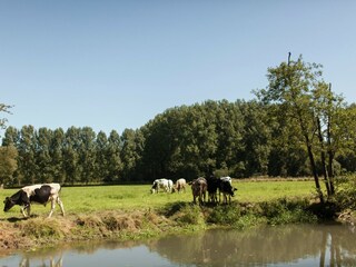 Vakantiehuis Auxi-le-Château Omgeving 31