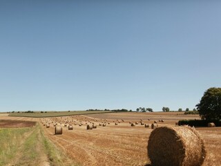 Holiday house Auxi-le-Château Environment 30