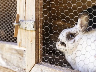Appartamento per vacanze Vöran Ambiente 12
