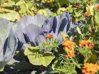 Appartamento per vacanze Vöran Ambiente 14