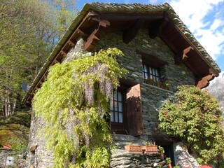 Casa per le vacanze Premia  2