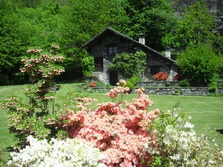 Casa per le vacanze Premia  3
