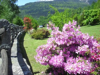 Casa per le vacanze Premia  7