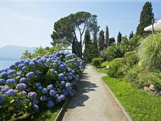 Appartamento Oggebbio  13