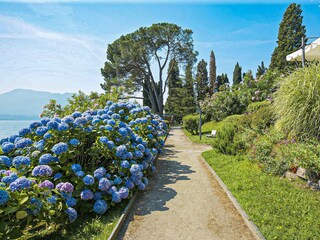 Appartamento Oggebbio Registrazione all'aperto 7