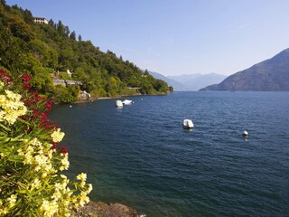 Appartement Cannobio  4