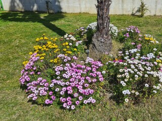 Appartamento Maccagno Registrazione all'aperto 9