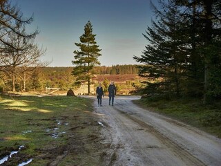 Vakantiehuis Hovborg  13