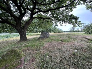 Maison de vacances Hovborg  8