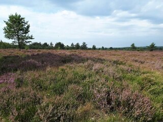 Vakantiehuis Hovborg  24