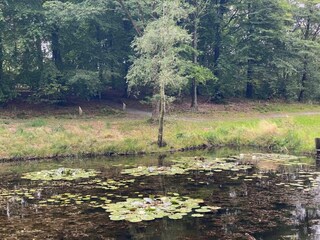 Vakantiehuis Hovborg  14