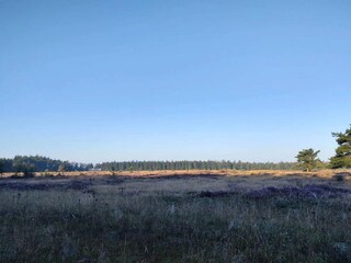 Maison de vacances Hovborg  20