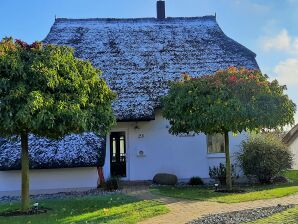 Ferienhaus Lichtblick - Zinnowitz - image1