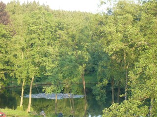 Seerosenteich an Kloster Reichenstein