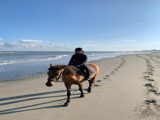 Vakantiehuis Oostduinkerke Omgeving 31