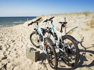 Leihfahrräder im Strandhotel Fischland