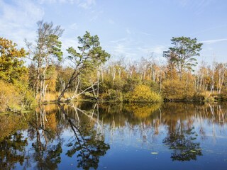 Casa per le vacanze Dierhagen Ambiente 24