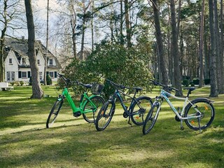 Casa per le vacanze Dierhagen Ambiente 25