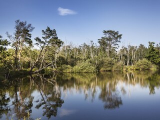 Appartement de vacances Dierhagen Environnement 28