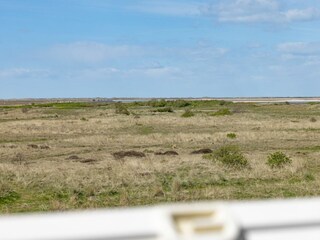 Meerblick