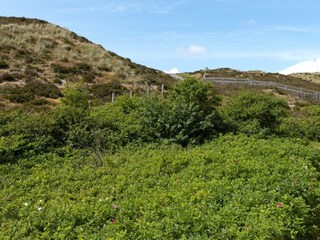 Landschaft