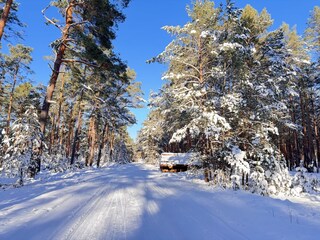 Erholung pur , der  Wald lädt zur Winter Wanderung ein