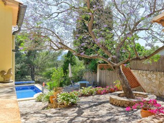 Villa Pollensa Registrazione all'aperto 7