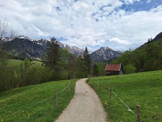 Wandern in der Natur