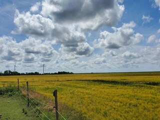 Ferienhaus Skærbæk  21