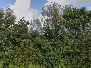 Vakantiehuis Skærbæk  22