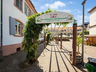 Appartement Herbolzheim Omgeving 22
