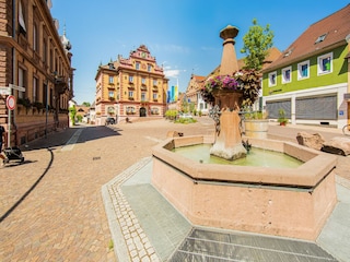 Appartement Herbolzheim Environnement 20