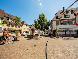 Appartement Herbolzheim Environnement 24