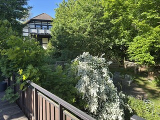 Appartement Frankenau Buitenaudio-opname 9