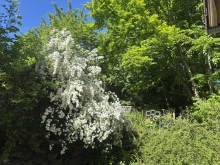 Appartamento Frankenau Registrazione all'aperto 2