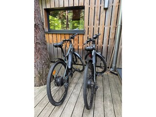 Elektrisch unterstütztes Fahrrad