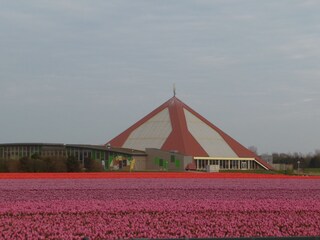 Vakantiehuis Julianadorp Omgeving 16