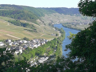 Neumagen und die Mosel