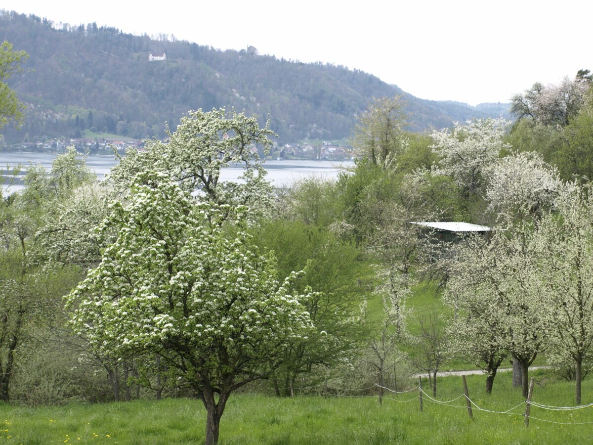 Blütenweg Bodensee